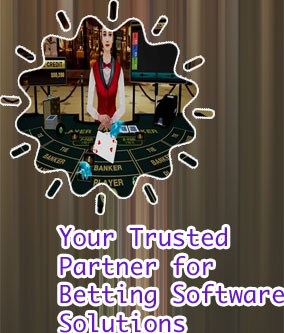 Virtual casino bookie software
